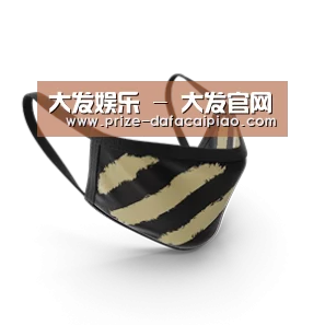 成人布口罩